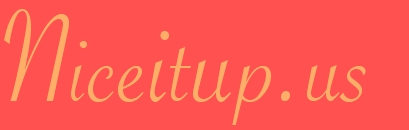 Niceitup.us