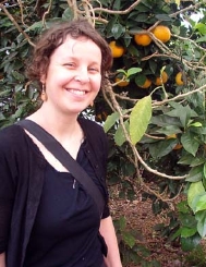 orangetree.jpg
